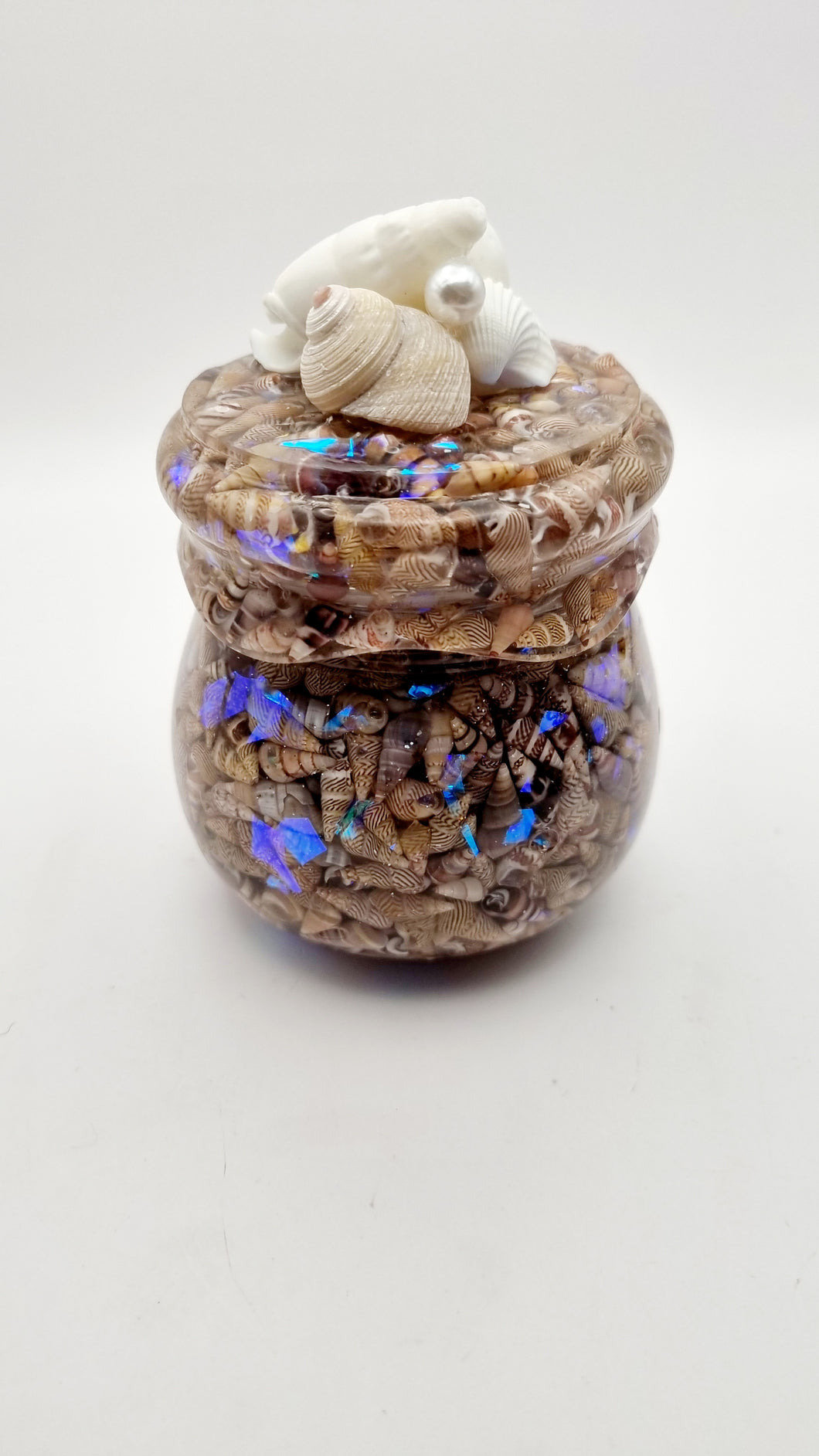 Seashell & Window Film Honey Pot Trinket Jar