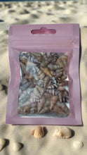 Load image into Gallery viewer, Mixed Packet of 250 Spiral Cone Seashells Ideal For Resin Art or Multi Crafts
