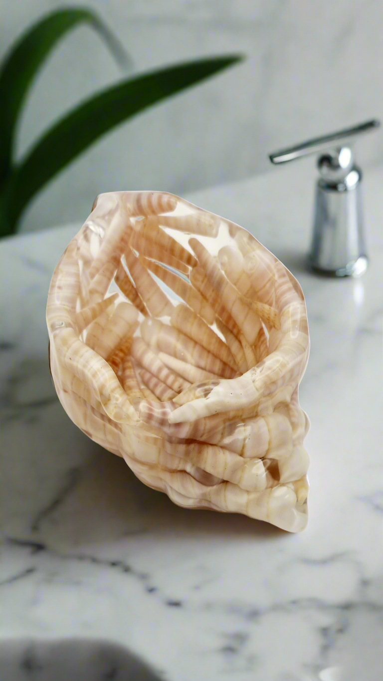 Handcrafted Seashell Shaped Resin Trinket Dish Featuring Turritella Seashells