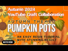 Load and play video in Gallery viewer, Autumn Pumpkin Pots Trinket Jars
