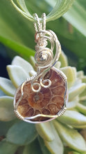 Load image into Gallery viewer, Silver Beaded Ammonite Fossil Pendant
