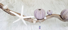 Load image into Gallery viewer, Rustic Driftwood &amp; Seashell Wind Chime Mobile
