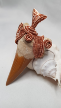 Load image into Gallery viewer, Copper Woven Otudus Shark Tooth Pendant
