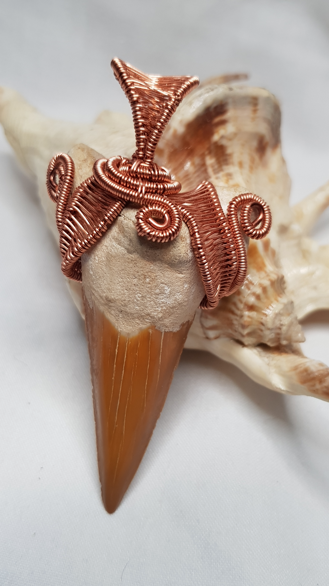 Copper Woven Otudus Shark Tooth Pendant